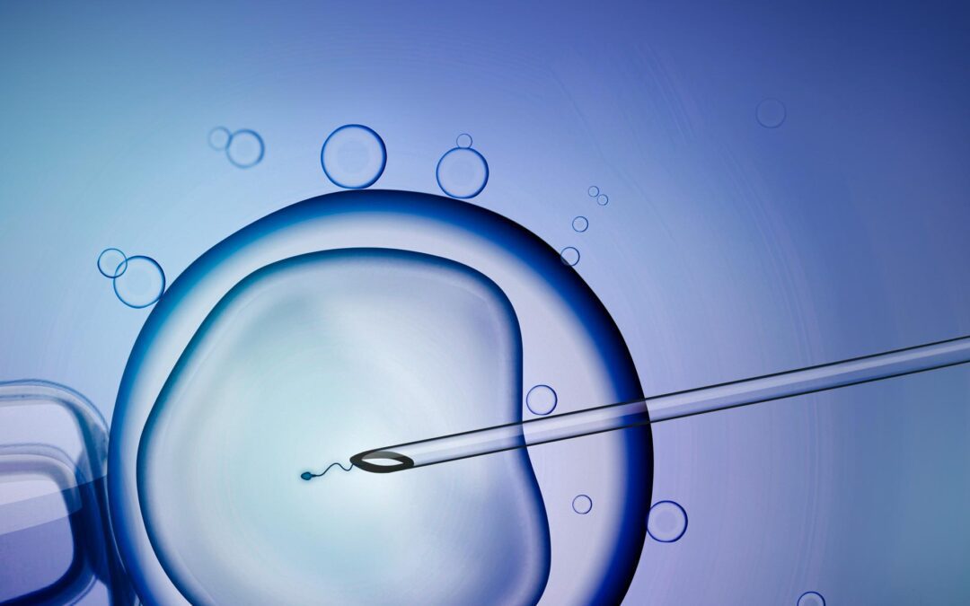 Everything you need to know about IVF