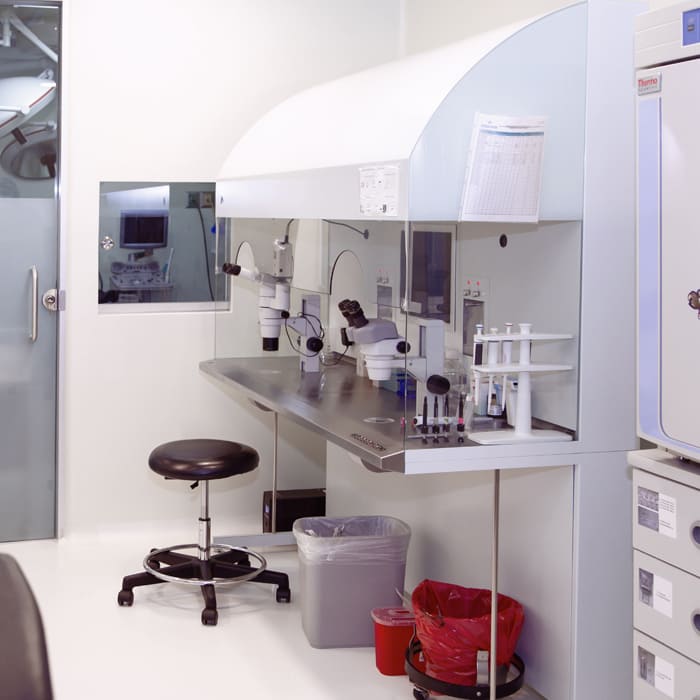 Laboratorio_FIV_03 (1)