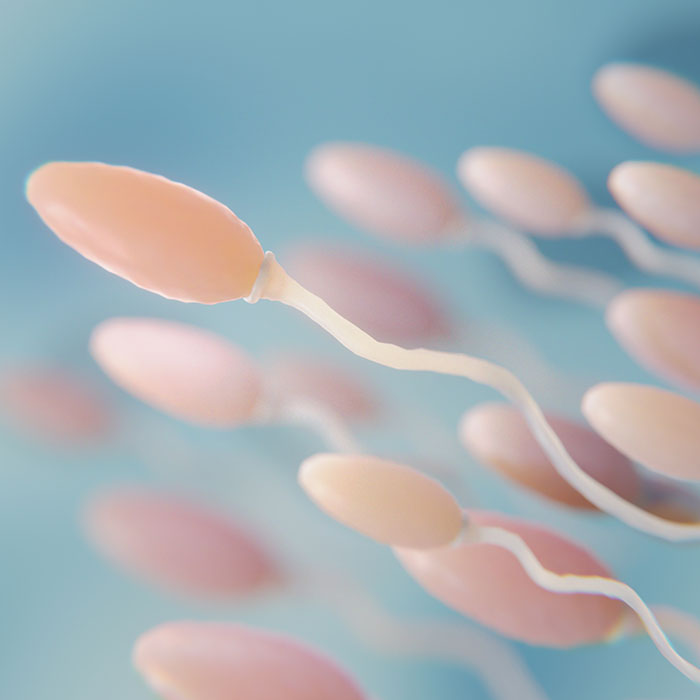 Fertilidad-masculina-male-fertility-sperm-quality