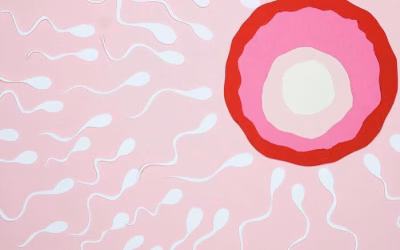 Fertilidad masculina: cuándo acudir con un especialista y qué esperar