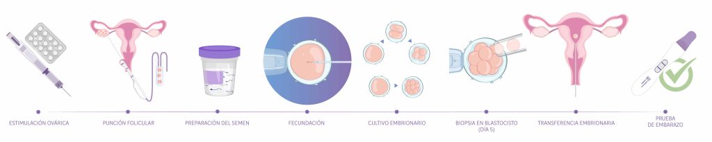 Proceso-paso-a-paso-de-una-fertilización-in-vitro-en-nascere