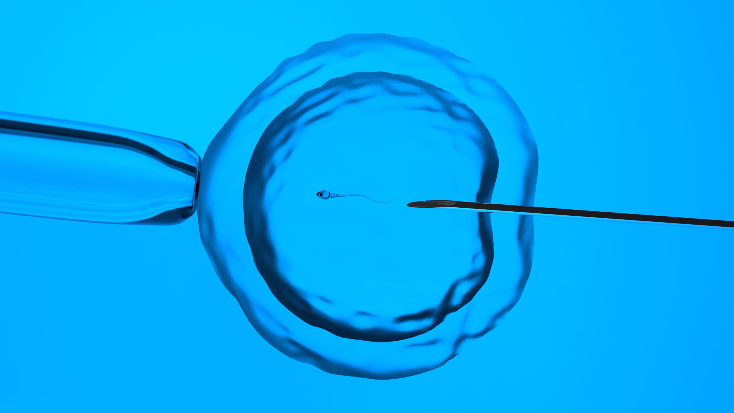In,Vitro,Fertilization,Or,Artificial,Insemination,,3d-rendering